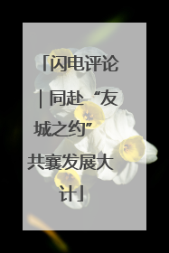 闪电评论｜同赴“友城之约” 共襄发展大计