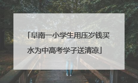 阜南一小学生用压岁钱买水为中高考学子送清凉