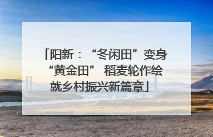 阳新：“冬闲田”变身“黄金田” 稻麦轮作绘就乡村振兴新篇章