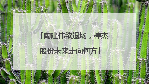 陶建伟欲退场，棒杰股份未来走向何方