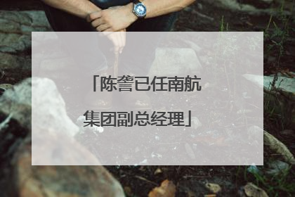 陈詟已任南航集团副总经理