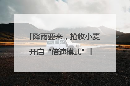 降雨要来，抢收小麦开启“倍速模式”