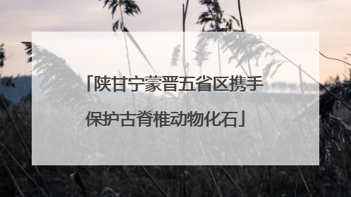 陕甘宁蒙晋五省区携手保护古脊椎动物化石