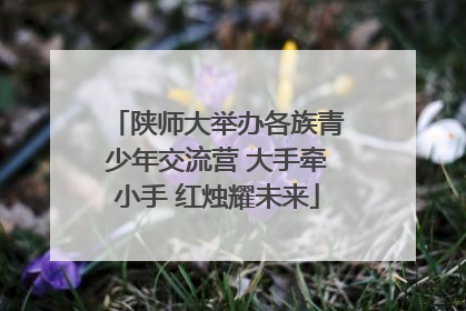 陕师大举办各族青少年交流营 大手牵小手 红烛耀未来
