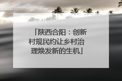 陕西合阳：创新村规民约让乡村治理焕发新的生机
