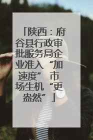 陕西：府谷县行政审批服务局企业准入“加速度” 市场生机“更盎然”
