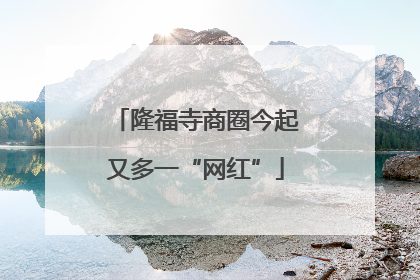 隆福寺商圈今起又多一“网红”