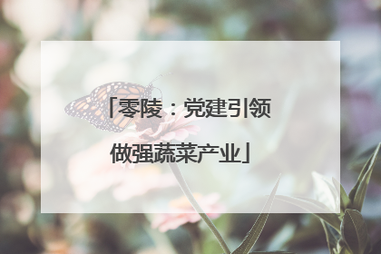 零陵：党建引领 做强蔬菜产业