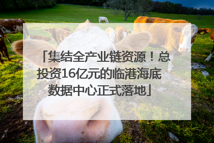 集结全产业链资源！总投资16亿元的临港海底数据中心正式落地