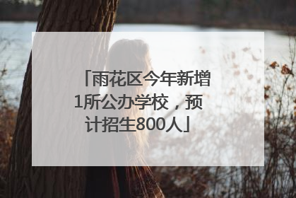 雨花区今年新增1所公办学校，预计招生800人