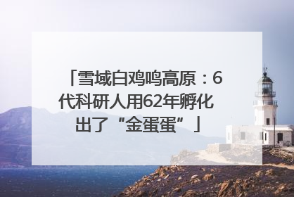 雪域白鸡鸣高原：6代科研人用62年孵化出了“金蛋蛋”