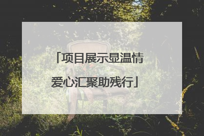 项目展示显温情 爱心汇聚助残行