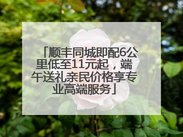 顺丰同城即配6公里低至11元起，端午送礼亲民价格享专业高端服务