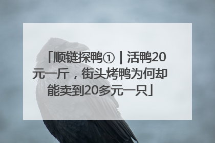 顺链探鸭①｜活鸭20元一斤，街头烤鸭为何却能卖到20多元一只