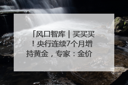 风口智库｜买买买！央行连续7个月增持黄金，专家：金价或仍易涨难跌