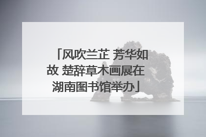 风吹兰芷 芳华如故 楚辞草木画展在湖南图书馆举办