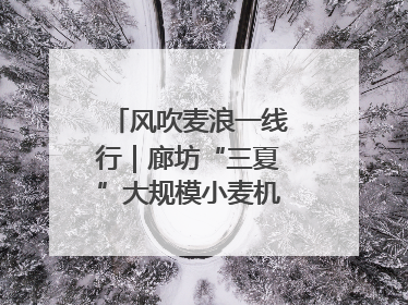 风吹麦浪一线行｜廊坊“三夏”大规模小麦机收全面开始