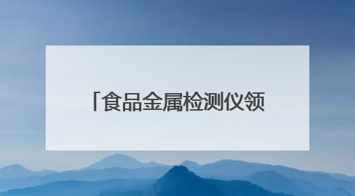 食品金属检测仪领域8家潜力企业：技术特色与发展前景