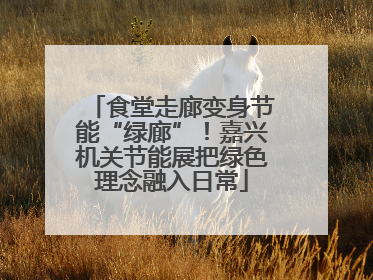 食堂走廊变身节能“绿廊”！嘉兴机关节能展把绿色理念融入日常