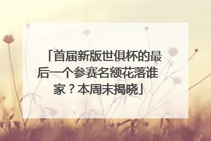 首届新版世俱杯的最后一个参赛名额花落谁家？本周末揭晓