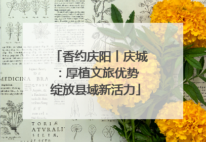 香约庆阳丨庆城：厚植文旅优势 绽放县域新活力