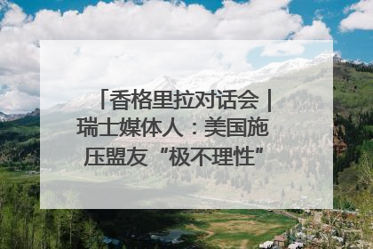香格里拉对话会｜瑞士媒体人：美国施压盟友“极不理性” 欧洲国家无意与中国“脱钩断链”