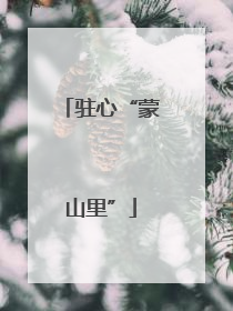 驻心“蒙山里”