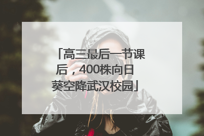 高三最后一节课后，400株向日葵空降武汉校园