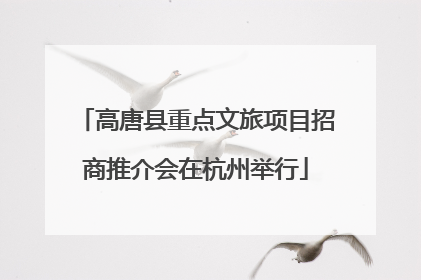 高唐县重点文旅项目招商推介会在杭州举行