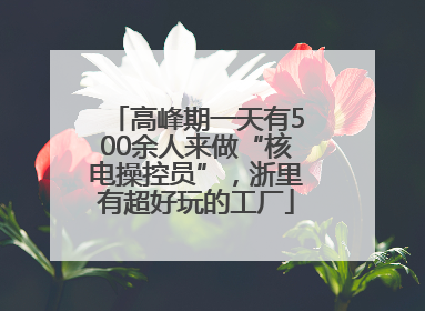 高峰期一天有500余人来做“核电操控员”，浙里有超好玩的工厂