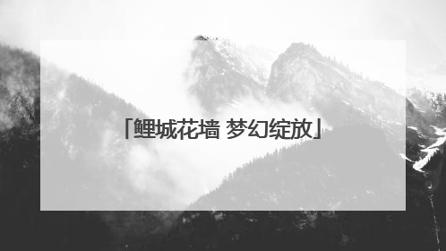 鲤城花墙 梦幻绽放