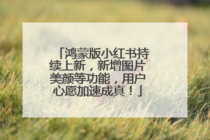 鸿蒙版小红书持续上新，新增图片美颜等功能，用户心愿加速成真！