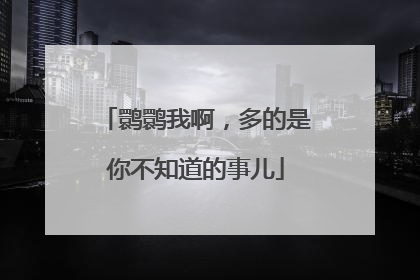 鹮鹮我啊，多的是你不知道的事儿