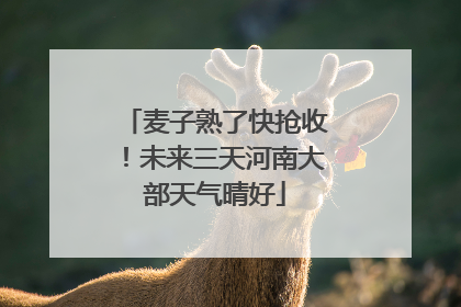 麦子熟了快抢收！未来三天河南大部天气晴好