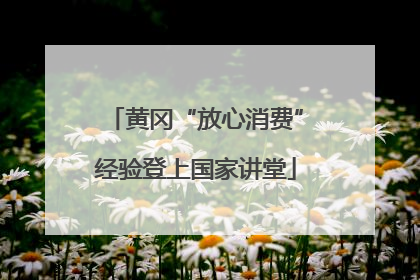 黄冈“放心消费”经验登上国家讲堂