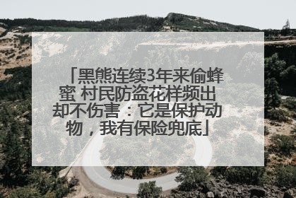 黑熊连续3年来偷蜂蜜 村民防盗花样频出却不伤害：它是保护动物，我有保险兜底