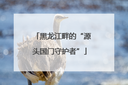 黑龙江畔的“源头国门守护者”