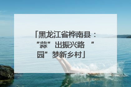 黑龙江省桦南县：“蒜”出振兴路 “园”梦新乡村