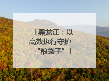 黑龙江：以高效执行守护“粮袋子”