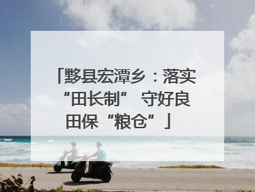 黟县宏潭乡：落实“田长制” 守好良田保“粮仓”