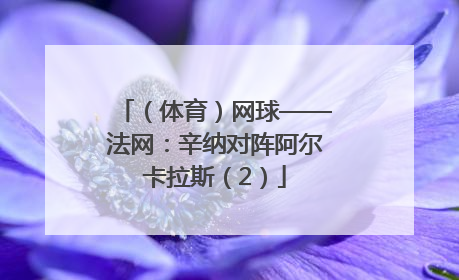 （体育）网球——法网：辛纳对阵阿尔卡拉斯（2）