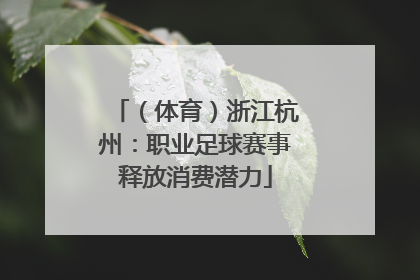 （体育）浙江杭州：职业足球赛事释放消费潜力