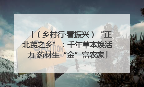 （乡村行·看振兴）“正北芪之乡”：千年草本焕活力 药材生“金”富农家