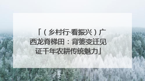 （乡村行·看振兴）广西龙脊梯田：背篓变迁见证千年农耕传统魅力