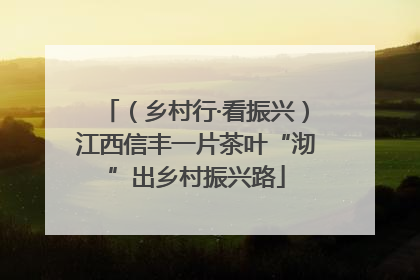 （乡村行·看振兴）江西信丰一片茶叶“沏”出乡村振兴路