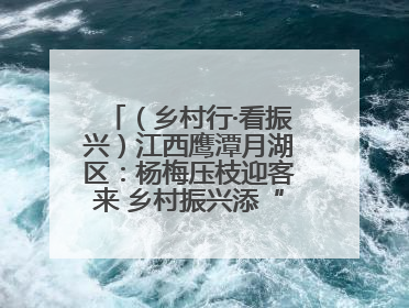（乡村行·看振兴）江西鹰潭月湖区：杨梅压枝迎客来 乡村振兴添“梅”景