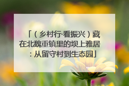 （乡村行·看振兴）藏在北魏重镇里的坝上雅居：从留守村到生态园