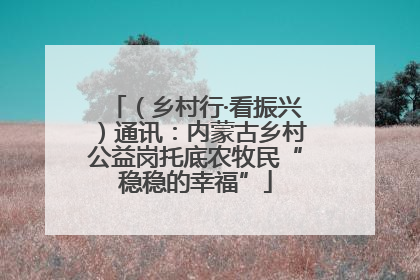 （乡村行·看振兴）通讯：内蒙古乡村公益岗托底农牧民“稳稳的幸福”