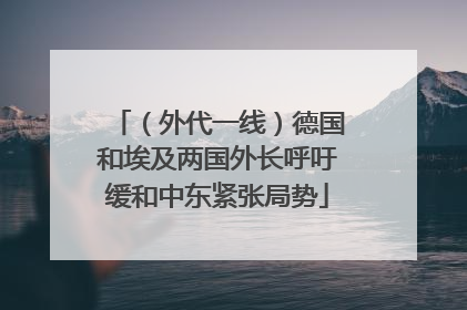 （外代一线）德国和埃及两国外长呼吁缓和中东紧张局势