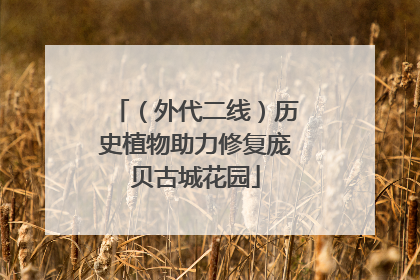 （外代二线）历史植物助力修复庞贝古城花园